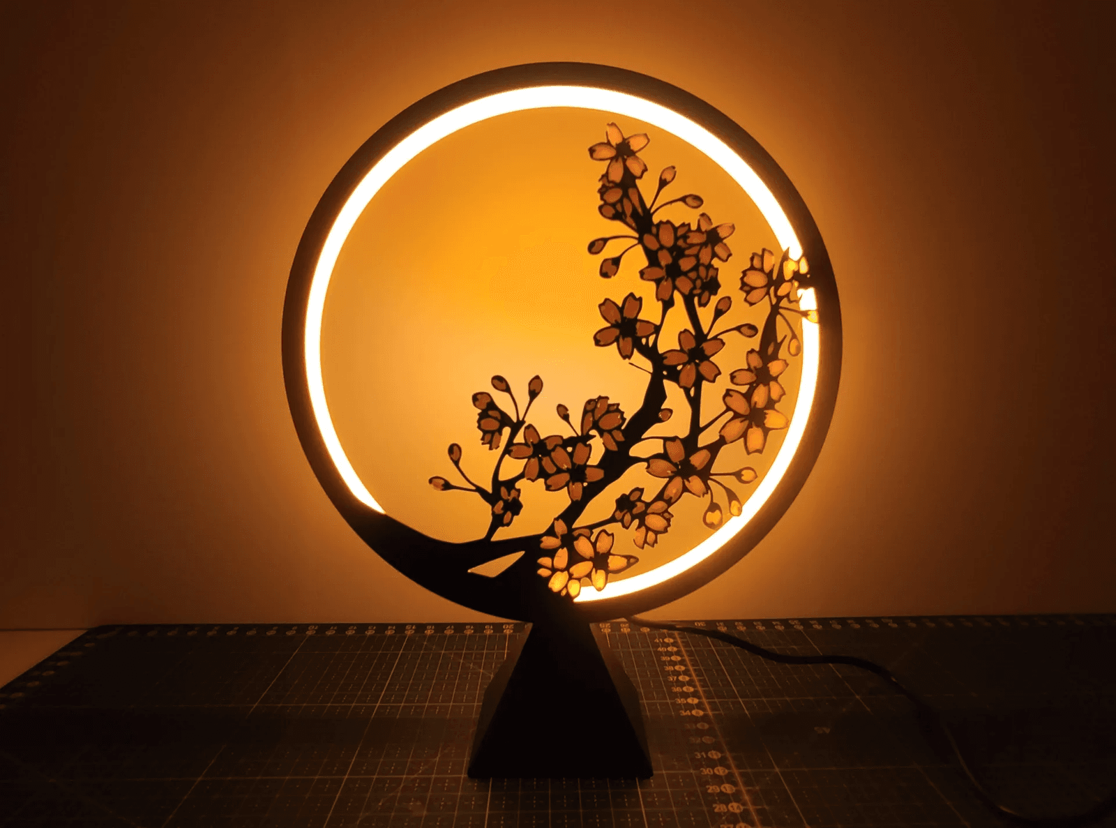 Ring Lamp with replaceable panels — 6