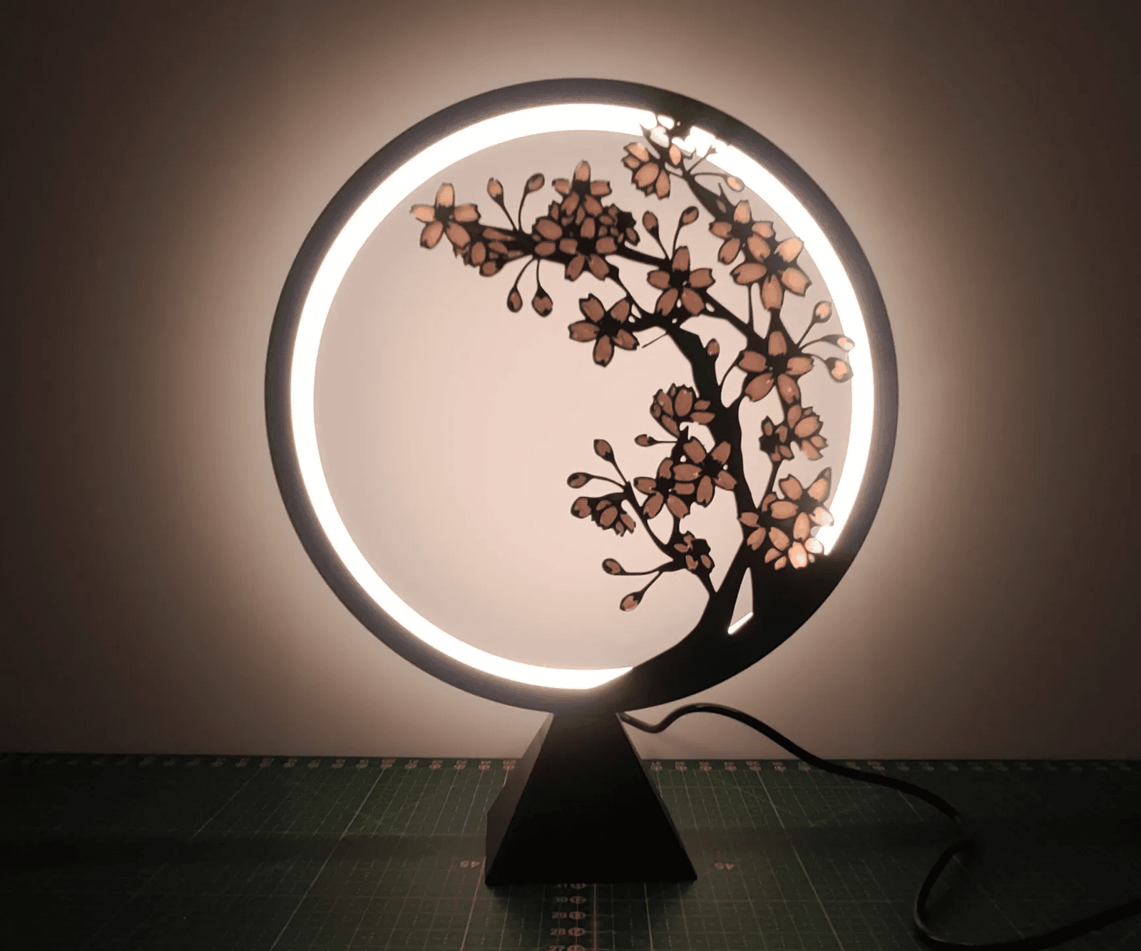 Ring Lamp with replaceable panels — 7