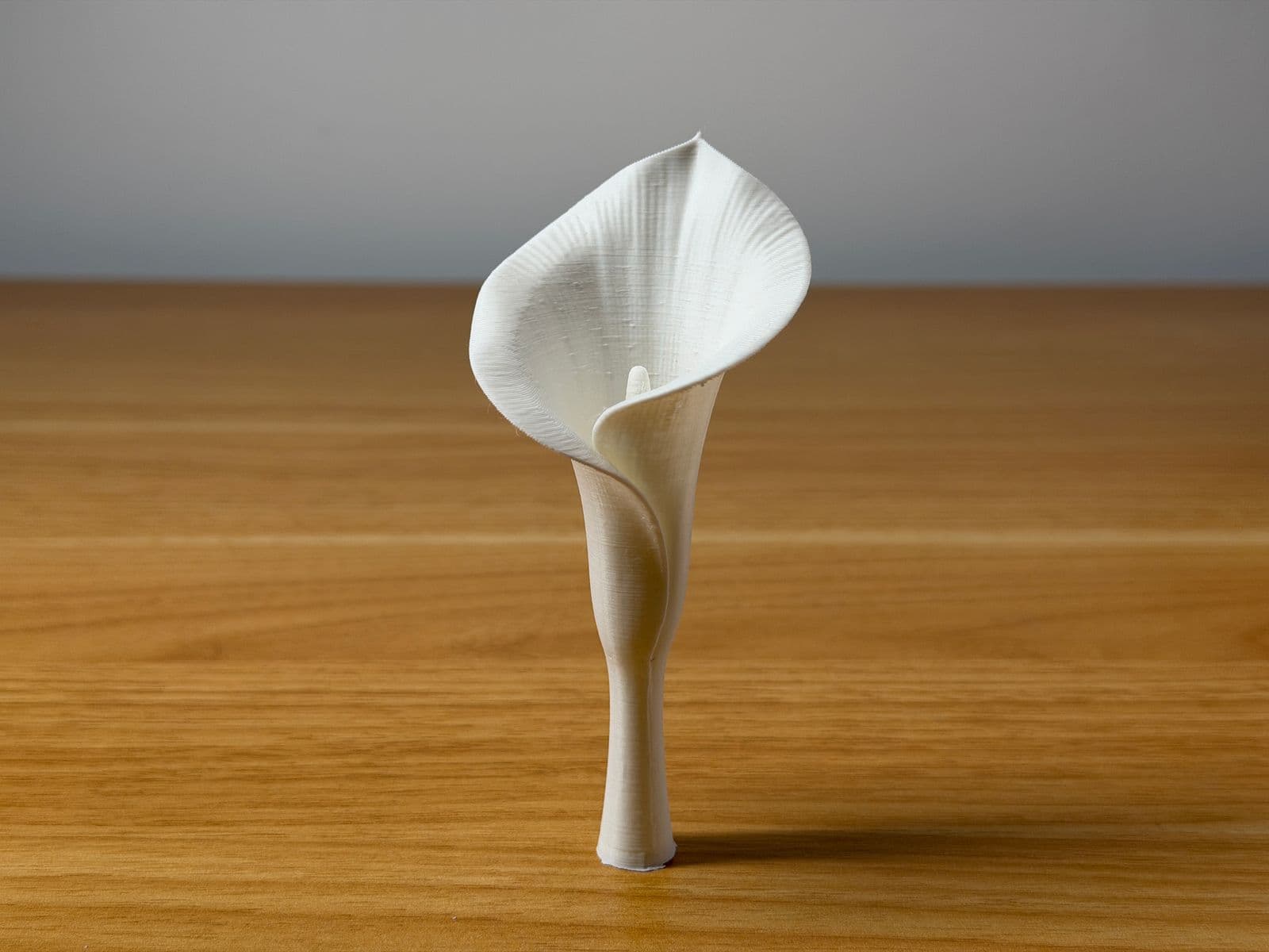White Calla - Sculptural Decor — 2